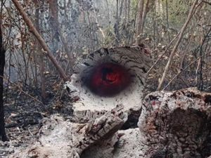 26 Hotspot Masih Mengancam di Kobar, Termasuk Area TN Tanjung Puting