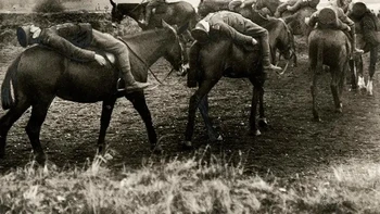 Tidur di atas punggung kuda? Bukan sedang bermalas-malasan! Para prajurit British Royal Horse Artillery menunjukkan aksi tak biasa bersama kuda-kuda mereka pada 1915. Hewan-hewan itu begitu terlatih hingga memungkinkan para tentara melakukan pose ekstrem. (Foto: Rare Historical Photos)