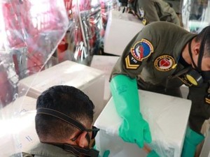BMKG Pakai Dry Ice untuk Atasi Kabut Asap Karhutla di Kalteng, Apa Fungsinya?