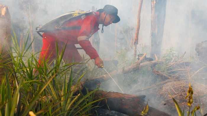 Karhutla di Kawasan Inti Pusat Pemerintahan IKN Capai 92 Hektare