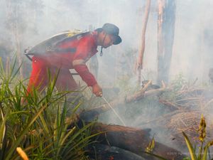 Karhutla di Kawasan Inti Pusat Pemerintahan IKN Capai 92 Hektare