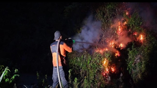 Karhutla Kembali Muncul di Kalteng, Petugas Berjibaku Padamkan Api
