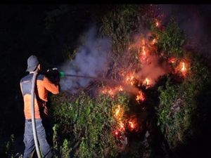 Karhutla Kembali Muncul di Kalteng, Petugas Berjibaku Padamkan Api