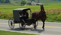 Bill Gates Ramal Orang Bakal Hidup seperti Kaum Amish Gegara AI
