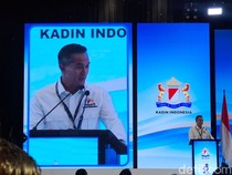 Jawaban Bos Kadin soal Tudingan RI di Ambang Krisis