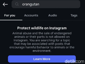 Video Orang Utan Hilang di Instagram-Threads, Komdigi: Coba Tanya Meta