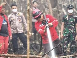 Meski Sempat Hujan Dua Hari, Petugas Masih Sisir Titik Berasap di TNTP