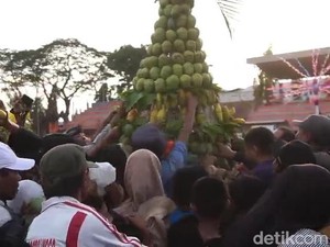 Meriahnya Mango Carnival Probolinggo, 50 Gunungan Mangga Jadi Rebutan