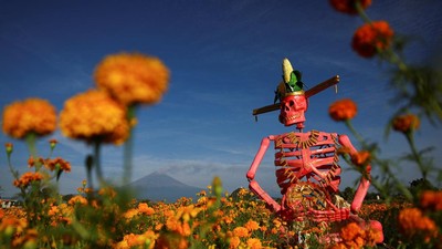 Patung Tengkorak Raksasa di Tengah Ladang Marigold, Sambut Hari Orang Mati