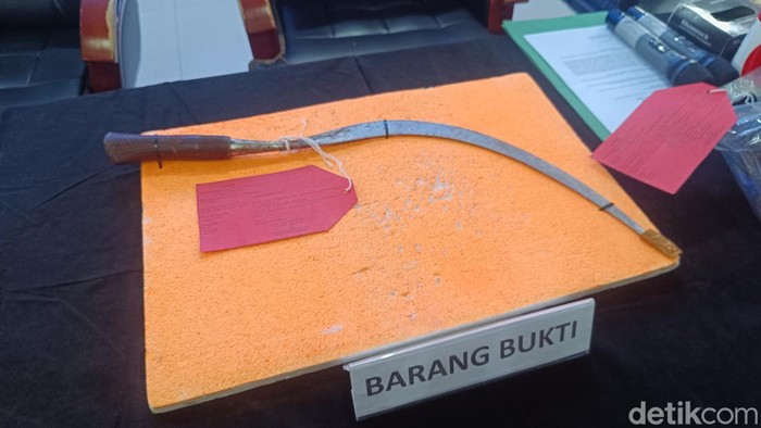 Penampakan celurit senjata pelaku yang digunakan untuk membacok Bobotoh di Bogor