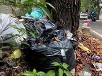 Jorok! Sampah Dibiarkan Menumpuk di Jalan Anggrek Bandung