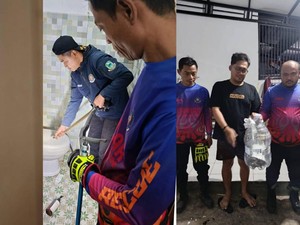 Ular Sawo Kopi Numpang Mandi di Rumah Warga Kuningan, Ini 4 Sebutannya