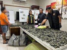 Pengolahan Pinang Jadi Gudang Narkoba di Deli Serdang, 3 Kg Sabu-Vape Disita