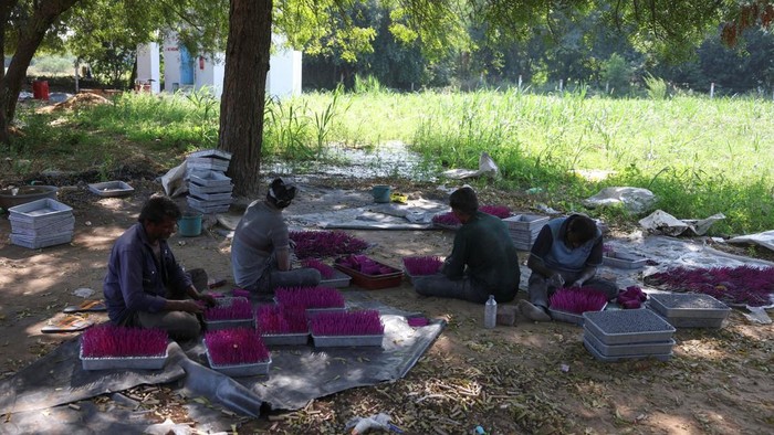 Sambut Festival Diwali, Pekerja India Kebut Produksi Petasan Para pekerja sibuk membuat dan mengemas petasan di sebuah pabrik di pinggiran Ahmedabad, India, Kamis (29/10/2026). Aktivitas produksi tersebut dilakukan menjelang perayaan Diwali, yang dikenal sebagai festival cahaya dan dirayakan oleh umat Hindu. REUTERS/Amit Dave