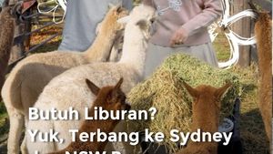 Butuh Liburan? Yuk, Terbang ke Sydney dan NSW Bersama Singapore Airlines