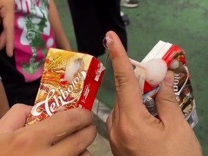 Misteri Teh Berbusa di Tengah Aksi Massa 28 Oktober