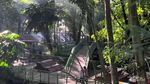Babakan Siliwangi, Hutan Kota Sejuk di Bandung