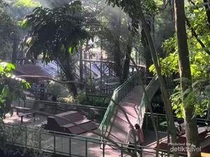 Babakan Siliwangi, Hutan Kota Sejuk di Bandung