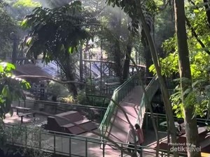 Babakan Siliwangi, Hutan Kota Sejuk di Bandung