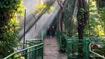 Babakan Siliwangi, Hutan Kota Sejuk di Bandung
