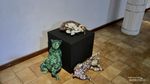 Usai Lihat Pameran Seni dari Sampah, Pengunjung Malah Jadi Banyak Pikiran