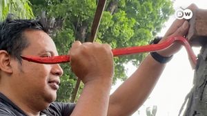 Video: Demi Pohon Sehat, Dosen Ini Sukarela Cabut Ratusan Paku Bekas Baliho