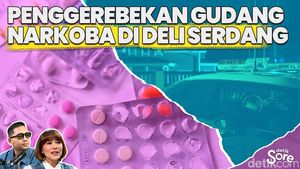 Video: Penggerebekan Gudang Narkoba Berkedok Pengolahan Pinang 