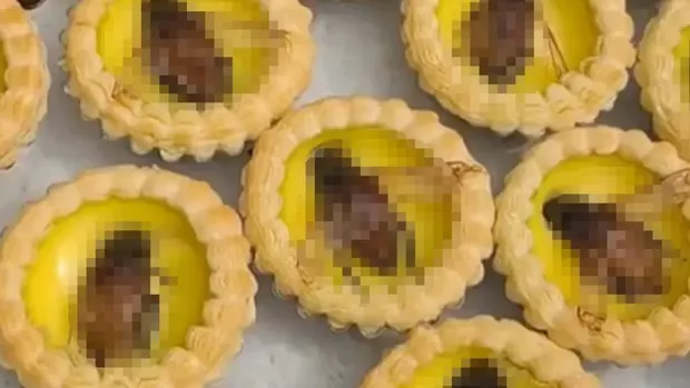 Egg tart topping kumbang Egg Tart Topping Serangga Ini Cuma Buat yang Nyalinya Gede!