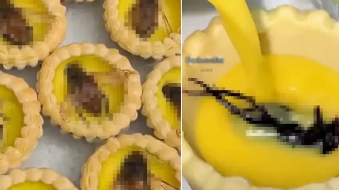 Egg Tart Topping Serangga Ini Cuma Buat yang Nyalinya Gede!