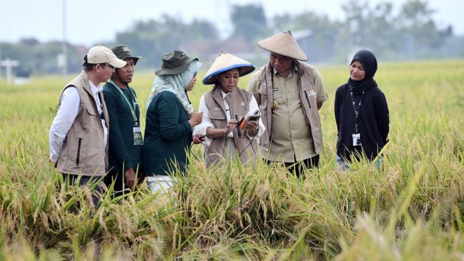 Menkomdigi Meutya Hafid saat mencoba mengoperasikan perangkat IoT yang digunakan oleh petani di Desa Pengkok, Kabupaten Sragen, Rabu (05/11/2025). (Dok. Komdigi/DRA)