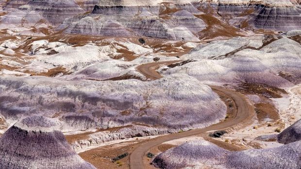 Taman Nasional Petrified Forest (Dok IG nationalparksguide)