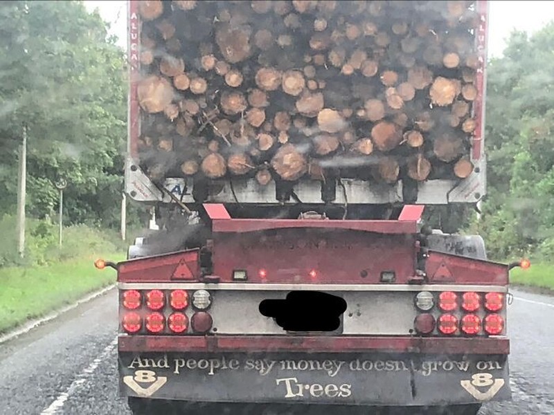 Tulisan di Belakang Truk Ini Kocak Parah hingga Menohok