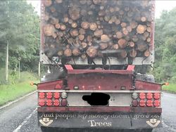 Tulisan di Belakang Truk Ini Kocak Parah hingga Menohok Tulisan di Belakang Truk Ini Kocak Parah hingga Menohok