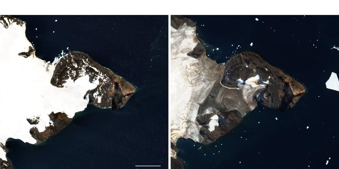 Citra satelit NASA memperlihatkan Vega Island di Antarktika menyerupai wajah tengkorak Citra satelit NASA memperlihatkan Vega Island di Antarktika menyerupai wajah tengkorak