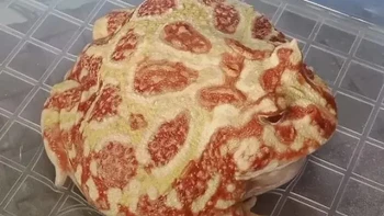 Ini bukan pizza. Foto: Bored Panda