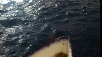 Perlu diketahui, ini bukan laut ya. Silahkan tebak sendiri. Foto: Bored Panda