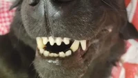 Mata Melihat, Otak Menolak! Ilusi Optik Ini Bikin Melongo Mata Melihat, Otak Menolak! Ilusi Optik Ini Bikin Melongo