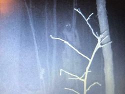Foto-foto Misterius Ini Bikin Merinding, Ada Penampakan Sulit Dijelaskan Foto-foto Misterius Ini Bikin Merinding, Ada Penampakan Sulit Dijelaskan
