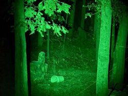 Foto-foto Misterius Ini Bikin Merinding, Ada Penampakan Sulit Dijelaskan Foto-foto Misterius Ini Bikin Merinding, Ada Penampakan Sulit Dijelaskan