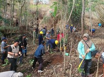 Warga Lawang Kompak Tanam Pohon Usai Karhutla Lereng Arjuno