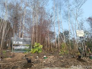1.000 Pohon Ditanam di Area Bekas Karhutla Tahura Bukit Soeharto