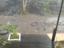 Heboh Hujan Es di Palangka Raya, Warga: Seperti Dilempari Batu