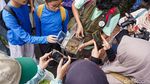 Mengenal Ekosistem Hutan UI Lewat Aksi Penjelajahan Serangga