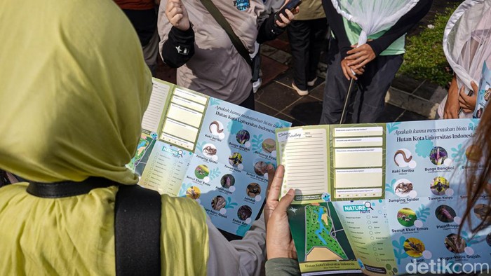 Mengenal Ekosistem Hutan UI Lewat Aksi Penjelajahan Serangga Sobat Air bersama Koloni Semut Indonesia mengajak sekitar 40 peserta dari usia 6 hingga 32 tahun menjelajahi Hutan UI jalur Wales Barat, Depok, Sabtu (31/10/2026).