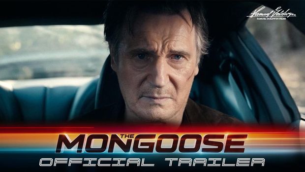 Mongoose (2026).