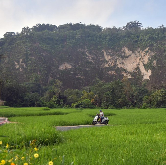 Pesona Wisata Alam Agrowisata Geopark Ngarai Sianok Bukittinggi