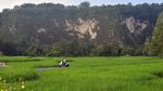 Pesona Wisata Alam Agrowisata Geopark Ngarai Sianok Bukittinggi