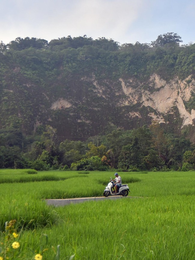 Pesona Wisata Alam Agrowisata Geopark Ngarai Sianok Bukittinggi