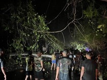Hujan Deras Picu Longsor-Pohon Tumbang di Jembrana, Senderan Jalan Ikut Jebol