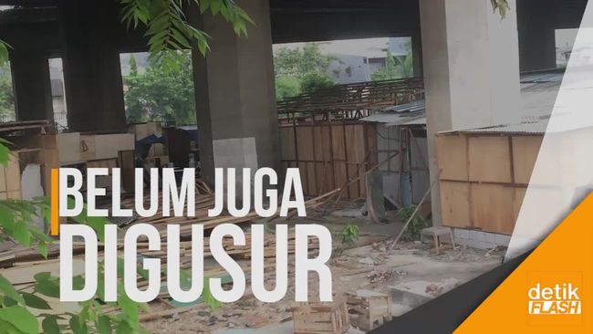 Masih Banyak Rumah Bedeng di Kolong Tol  Kapan  Digusur 